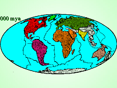 0 mya