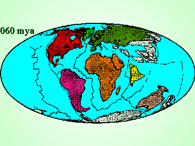 60 mya
