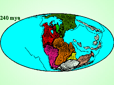 240 mya
