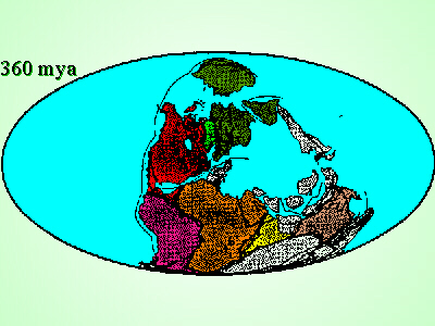 360 mya