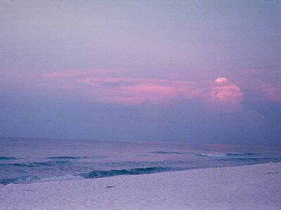 Ocean