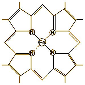 Heme Group