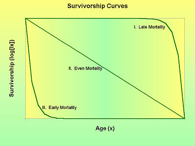 Survivorship Curves