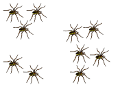 Clumped Dispersion