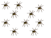 Random Dispersion