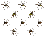 Uniform Dispersion