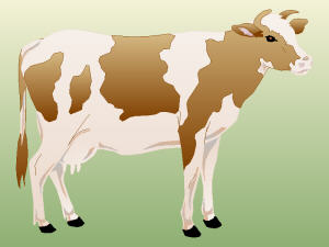 cow