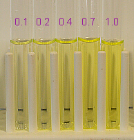 five dilutions of riboflavin, labeled