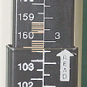height = 160.3 cm