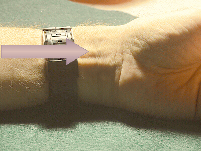look for tendon