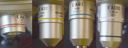 All Four Objective Lenses