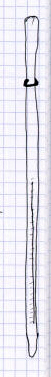 worm-like thermometer