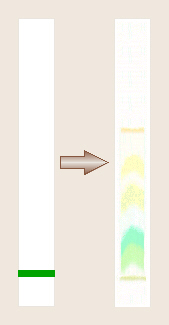 Paper Before and After