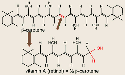 Beta-Carotene and Vitamin A