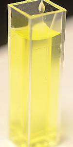 sample in cuvette