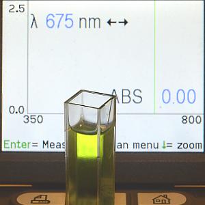 Parsley extract
