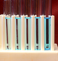 five dilutions of methylene blue