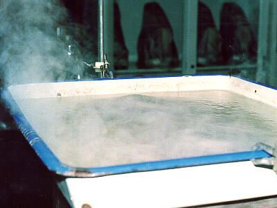 Boiling Sap