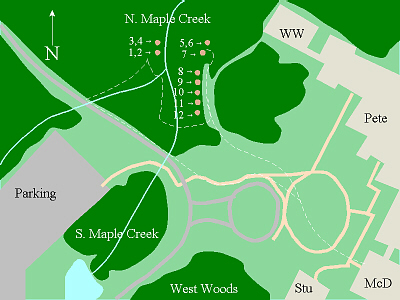 Tree Map