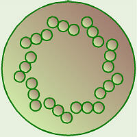 9 Sets of 3:  Cross Section