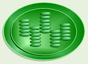 Chloroplast