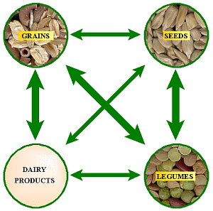 Complementary Protein