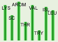 Essential Amino Acids