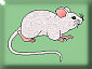 Im a mouse.  Click me.