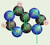 Purine Structure