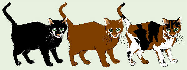 Cats
