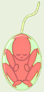 Homunculus in Sperm