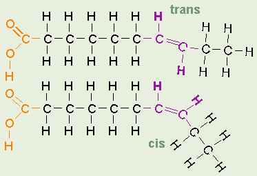 Cis and Trans Bonds
