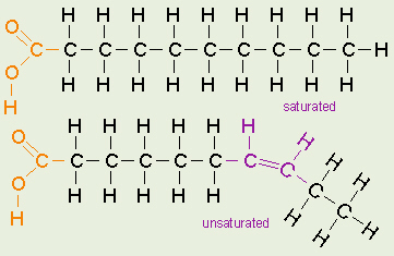 Fatty Acids