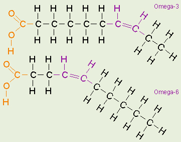 Omega-3 and Omega-6
