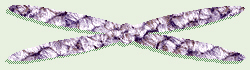 Replicated Chromosome