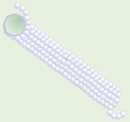 tubulin and microtubule 