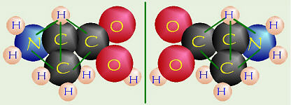Left and Right Molecules