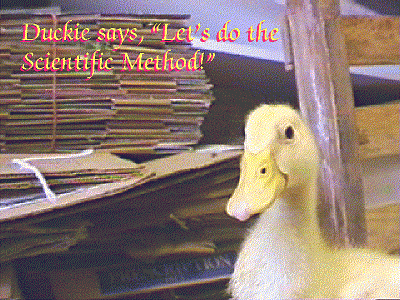 Scientific Method Review