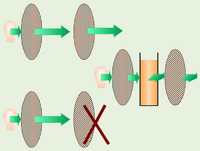 Rotating Polarized Light
