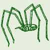 daddy-long-legs