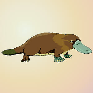Platypus