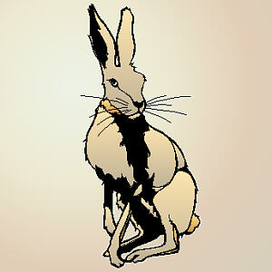 Rabbit