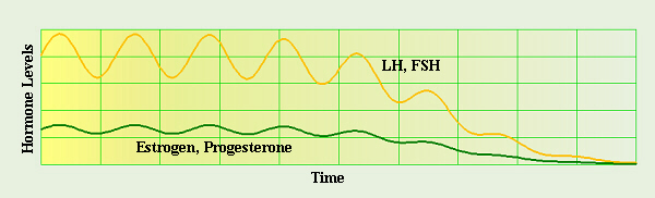Menopause Graph