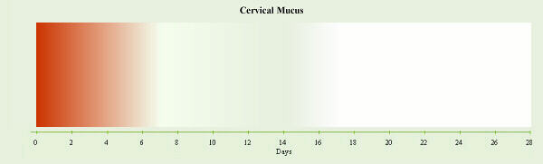 Cervical Mucus