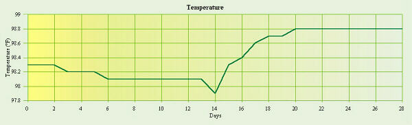 Temperature Graph