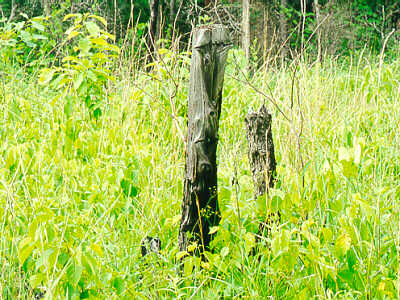 Burned Prairie